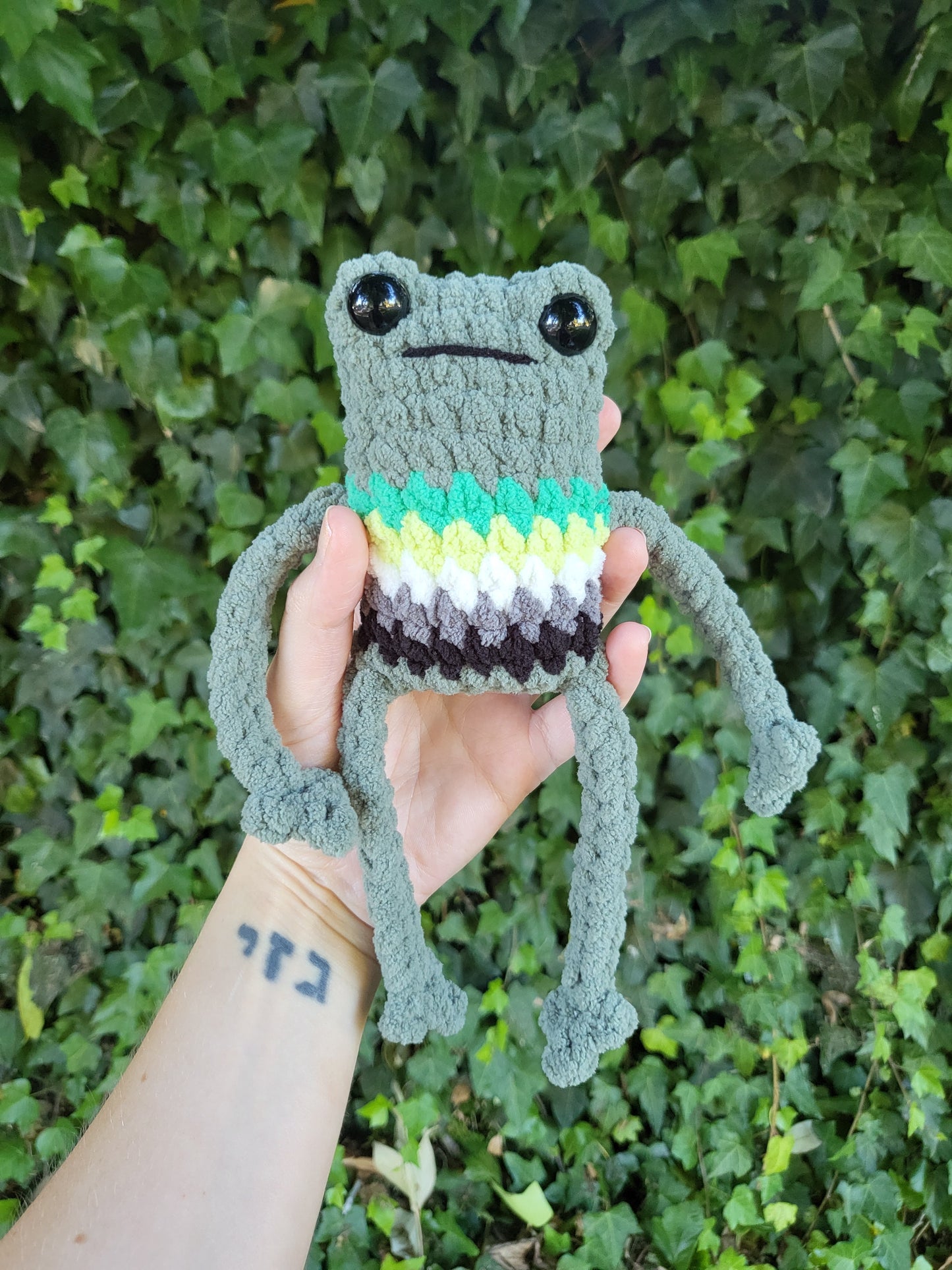 Aro Pride Frog Plushie | Made by queer artist!