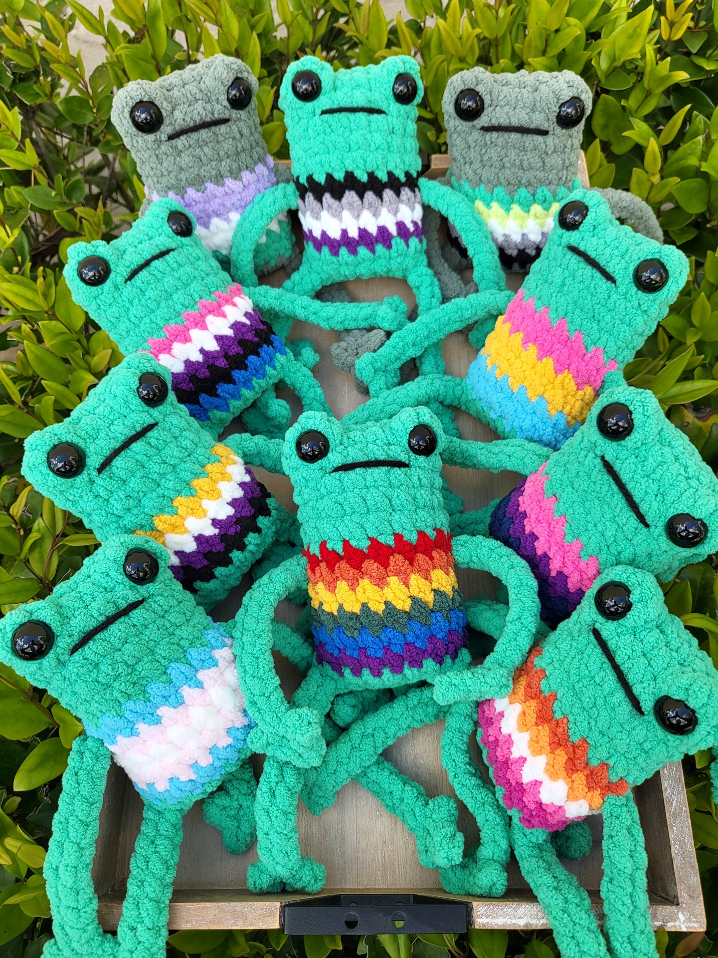 Ace Pride Frog Plushie | Made by queer artist!